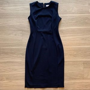 Calvin Klein Navy Blue Dress Size 4P.